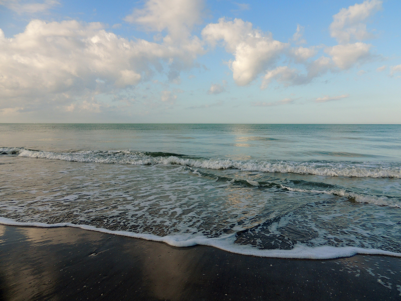Estero/Bonita